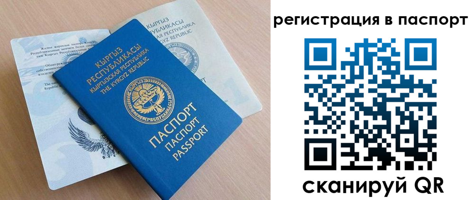 прописка законно в Могочи